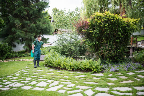 Best Wasp Removal Services  in Gman, IL