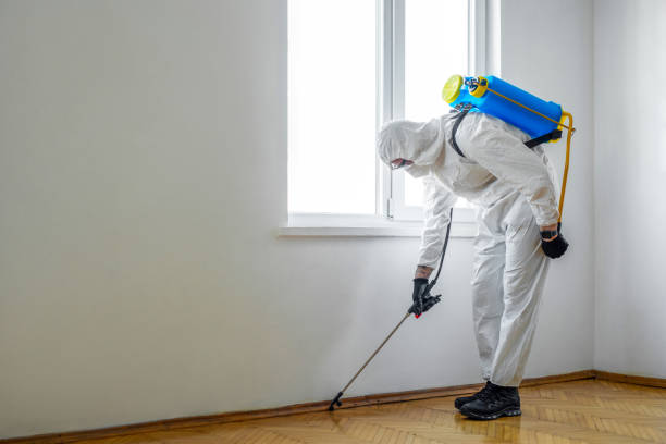 Best Pest Inspection Near Me  in Gman, IL
