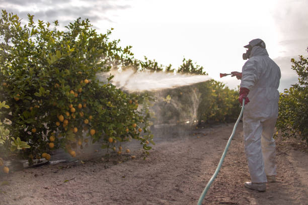 Best Pest Control for Businesses  in Gman, IL