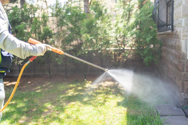 Best Termite Control Services  in Gman, IL